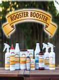 Rooster Booster Mar 2019 txt 1